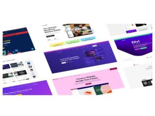 The most popular WordPress Themes in 2024