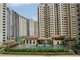 1, 2 & 3 BHK Flats in Sector 76 Noida Starting From Only ₹45 Lakh – Amrapali Princely Estate