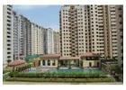 1, 2 & 3 BHK Flats in Sector 76 Noida Starting From Only ₹45 Lakh – Amrapali Princely Estate