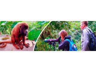 Affordable Amazon Rainforest and Machu Picchu Tours in Peru