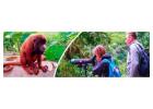 Affordable Amazon Rainforest and Machu Picchu Tours in Peru