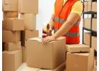 Fedex Gurgaon