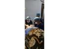 Best Hair Transplant Doctor in Bhubaneswar | Advanced Hair Restoration Clinic | Alloroots
