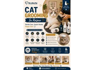 Cat Grooming