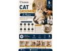 Cat Grooming