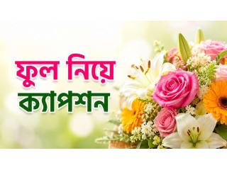 ফুল নিয়ে ক্যাপশন: অনুভূতির সৌন্দর্য প্রকাশের সহজ উপায়