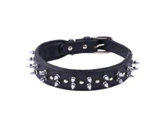 Spike Collar for Dog Protection and Safety