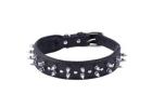 Spike Collar for Dog Protection and Safety