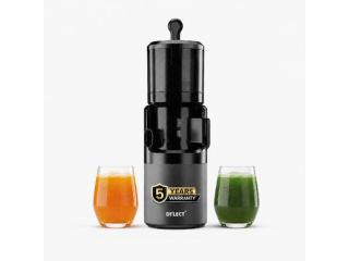 Dylect Slow Juicer Machine for Fresh Healthy Drinks