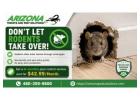 Arizona Rodent Control Experts - Arizona Pest Solutions