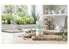 Brighten Your Skin with Pure Alpha Arbutin Powder | Cellbone