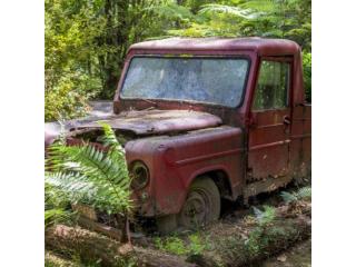 Local Experts: Fast Cash for Your Junk Car Solutions