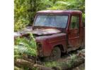 Local Experts: Fast Cash for Your Junk Car Solutions 