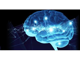 Your Brain Fitness Center – Neurofeedback Brain Training