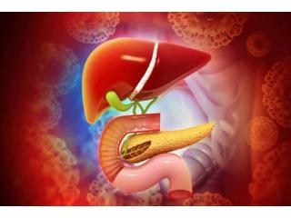 Liver & Pancreas Specialist in Ludhiana – Dr. Nitin Behl