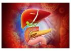 Liver & Pancreas Specialist in Ludhiana – Dr. Nitin Behl