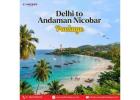 Delhi to Andaman Nicobar Package