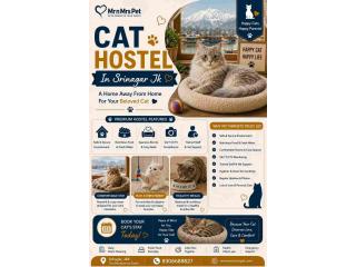 Cat Hostel