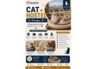Cat Hostel