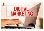 Expert Digital Marketing Services in Delhi NCR for Every Business