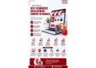 Why Choose the Best Ecommerce Development Company In Chennai?