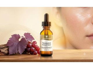 Hydrating Resveratrol Face Serum for Everyday Skincare | Cellbone