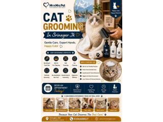 Cat Grooming