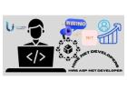 Hire ASP.Net Developer | Build Secure, High-Traffic E-Commerce Sites
