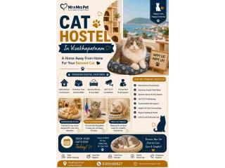 Cat Hostel