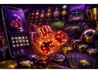 Taj777Book Login Trusted Online Betting Platform