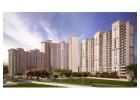 Are Flats in Ghaziabad a good option for families and property buyers?