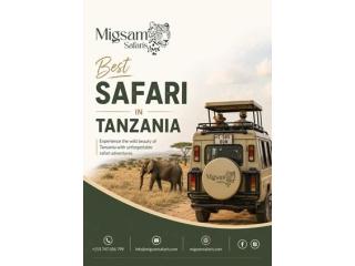 Best Safari in Tanzania Explore Top National Parks