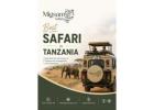 Best Safari in Tanzania Explore Top National Parks