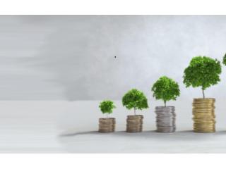Free Compound Interest Calculator Online |