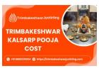 Complete Kaal Sarp Dosh Puja Procedure By Authorised Pandit 