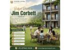 Budget Resorts in Jim Corbett for a Relaxing Nature Stay