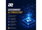 Government AI Consultant