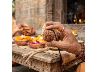 11 Mukhi Rudraksha