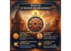 What is 12 Mukhi Rudraksha
