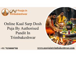 Online Kaal Sarp Dosh Puja By Authorised Pandit In Trimbakeshwar