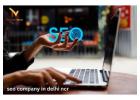 Improve Search Rankings with an Expert SEO Company in Delhi NCR