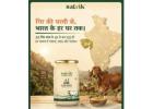 Buy Pure A2 Gir Cow Ghee Online | Satvik Ghee