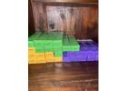 How to order disposable vapes for same-day delivery near me in Norseman ?