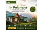 Best Resorts in Palampur for Memorable Holidays