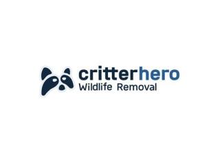 Critter Hero Wildlife Removal Grimsby