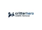 Critter Hero Wildlife Removal Grimsby