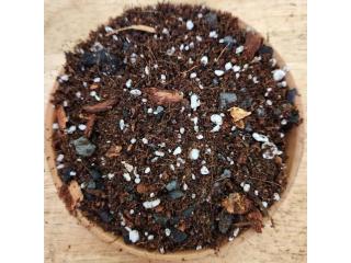 Aroid Mix: The Best Growing Medium for Healthy Aroid Plants