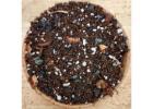 Aroid Mix: The Best Growing Medium for Healthy Aroid Plants