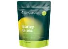 Buy Organic Barley Grass Powder Online