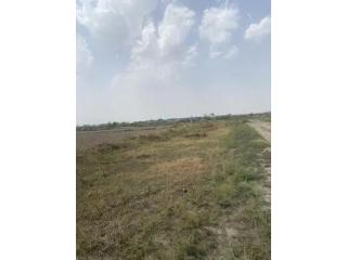 Commercial Properties for Rent in Sector 77 Gurgaon | Business Space Options